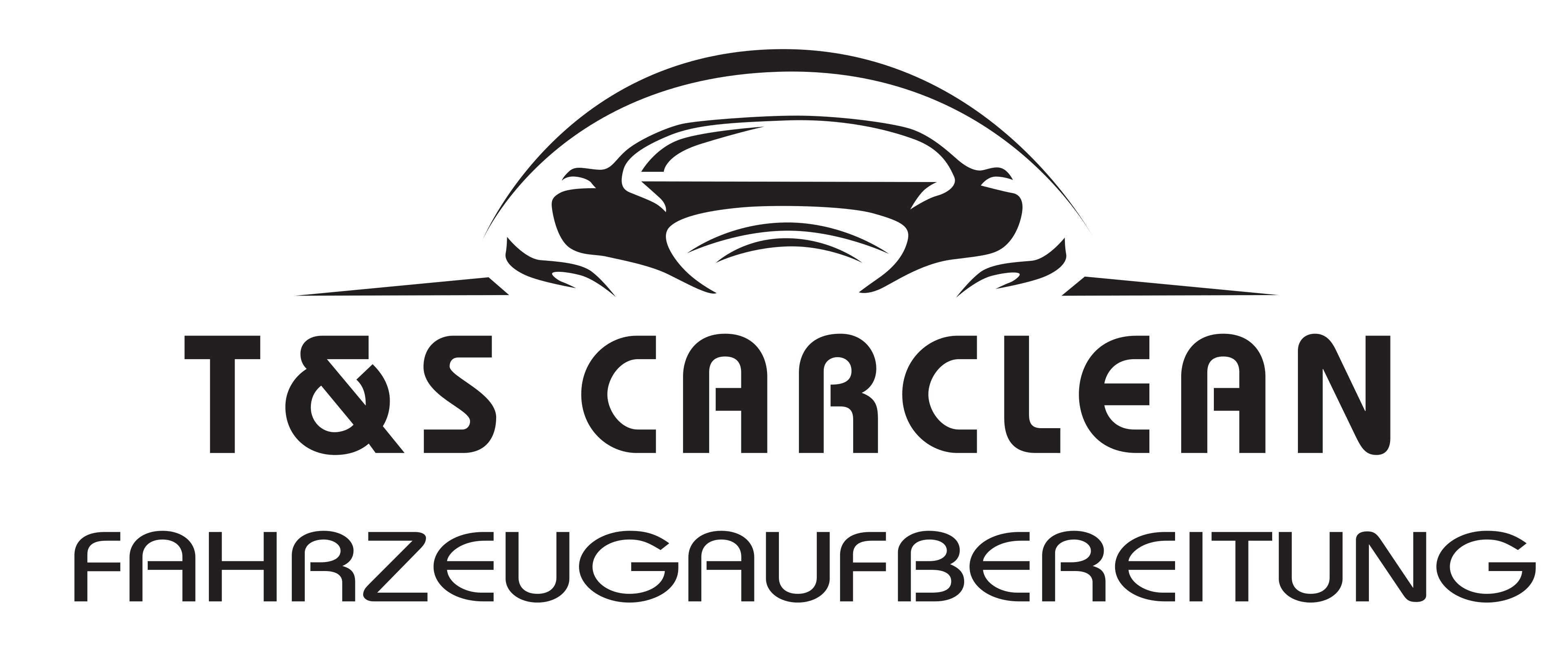 TS CarClean